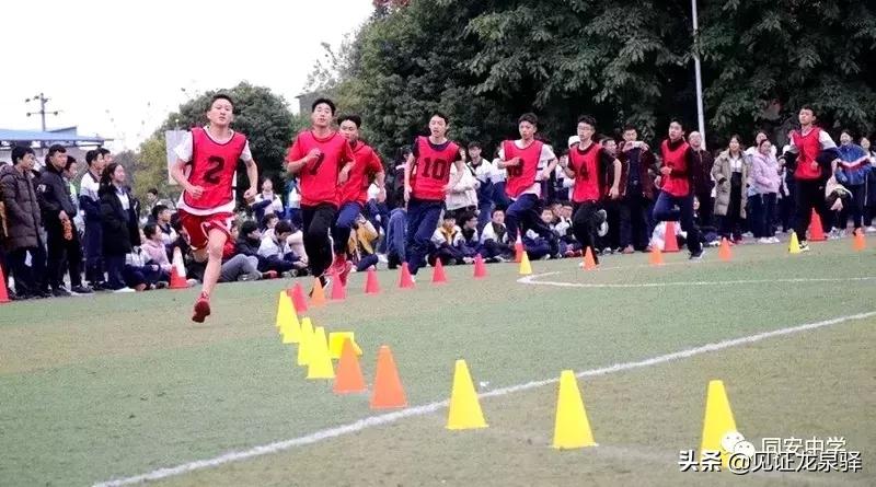 篮球冠军叫什么_篮球赛冠军都是哪里人_篮球赛冠军是一个人的吗