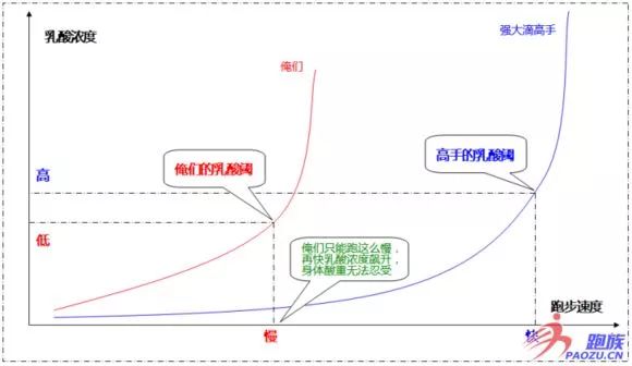 阈值锻炼_提高有氧运动阈值_运动阈值测量