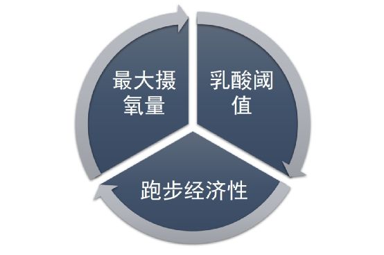 阈值锻炼_运动阈值测量_提高有氧运动阈值