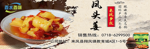来凤县第二届巾帼清风杯女子篮球赛：开启新