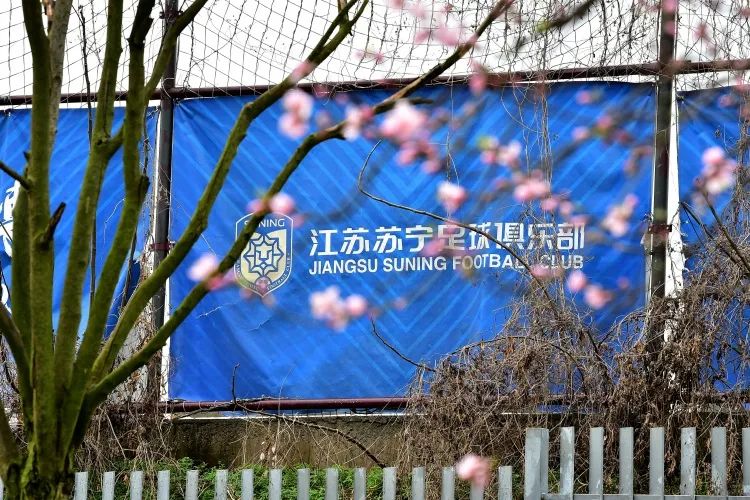2021年全运会足球冠军是谁_全运会足球冠军能拿多少奖金_01年全运会足球冠军阵容